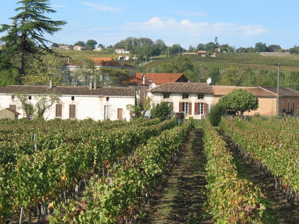 Bed and Breakfast Chateau Rousselle Saint-Ciers-de-Canesse Екстер'єр фото