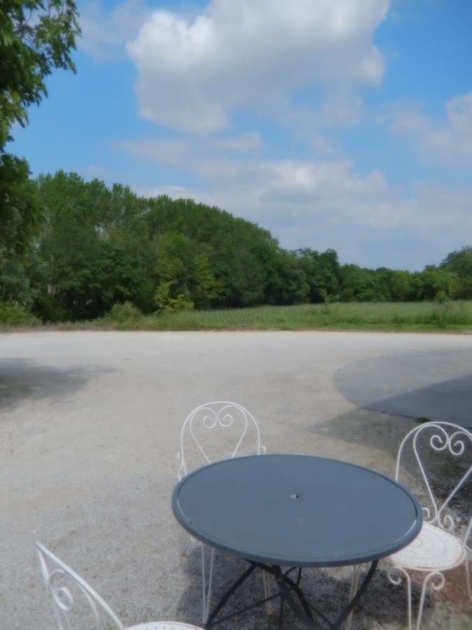 Bed and Breakfast Chateau Rousselle Saint-Ciers-de-Canesse Екстер'єр фото