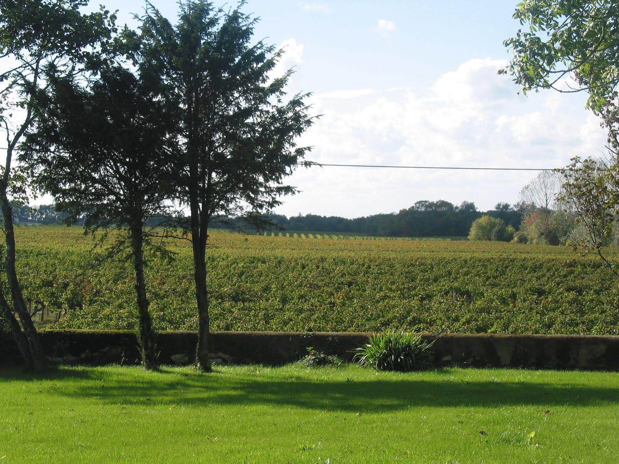 Bed and Breakfast Chateau Rousselle Saint-Ciers-de-Canesse Екстер'єр фото